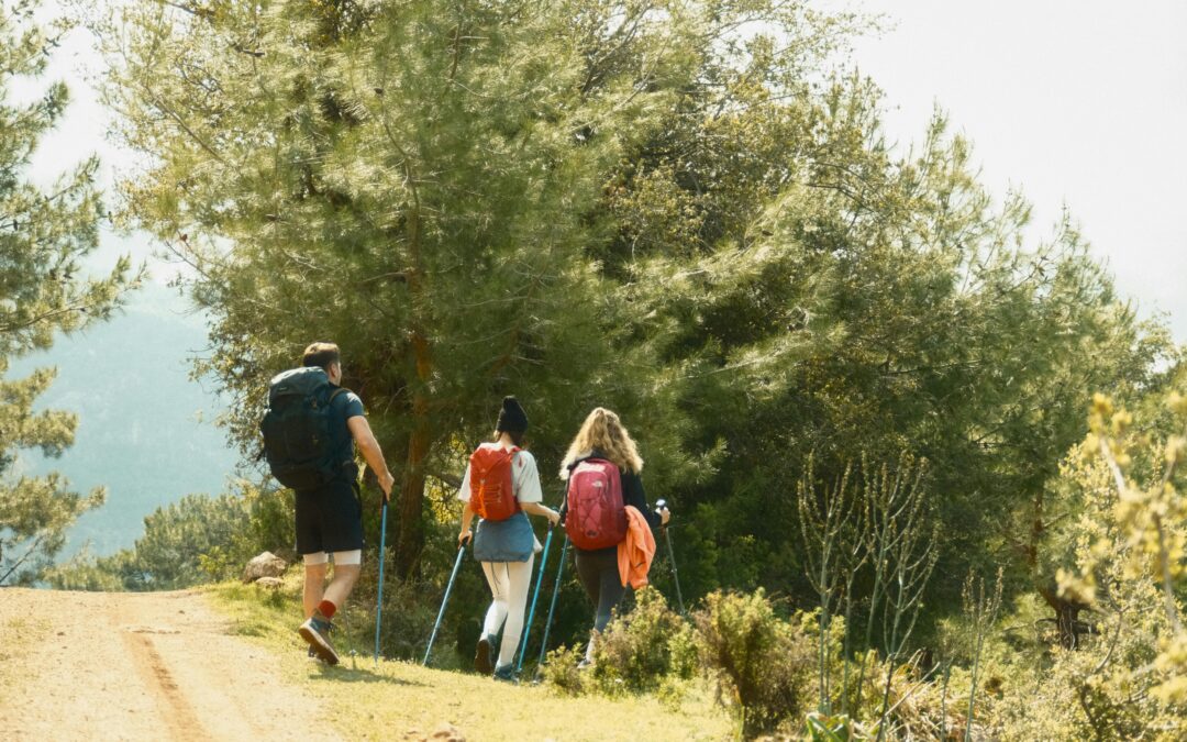 Top Hiking Essentials for Safe and Comfortable Trail Adventures